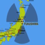 The Fukushima Disaster