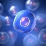 Механизм регенерации: функция биоэлектричества или поступление света в наши клетки: Lapis Elixir